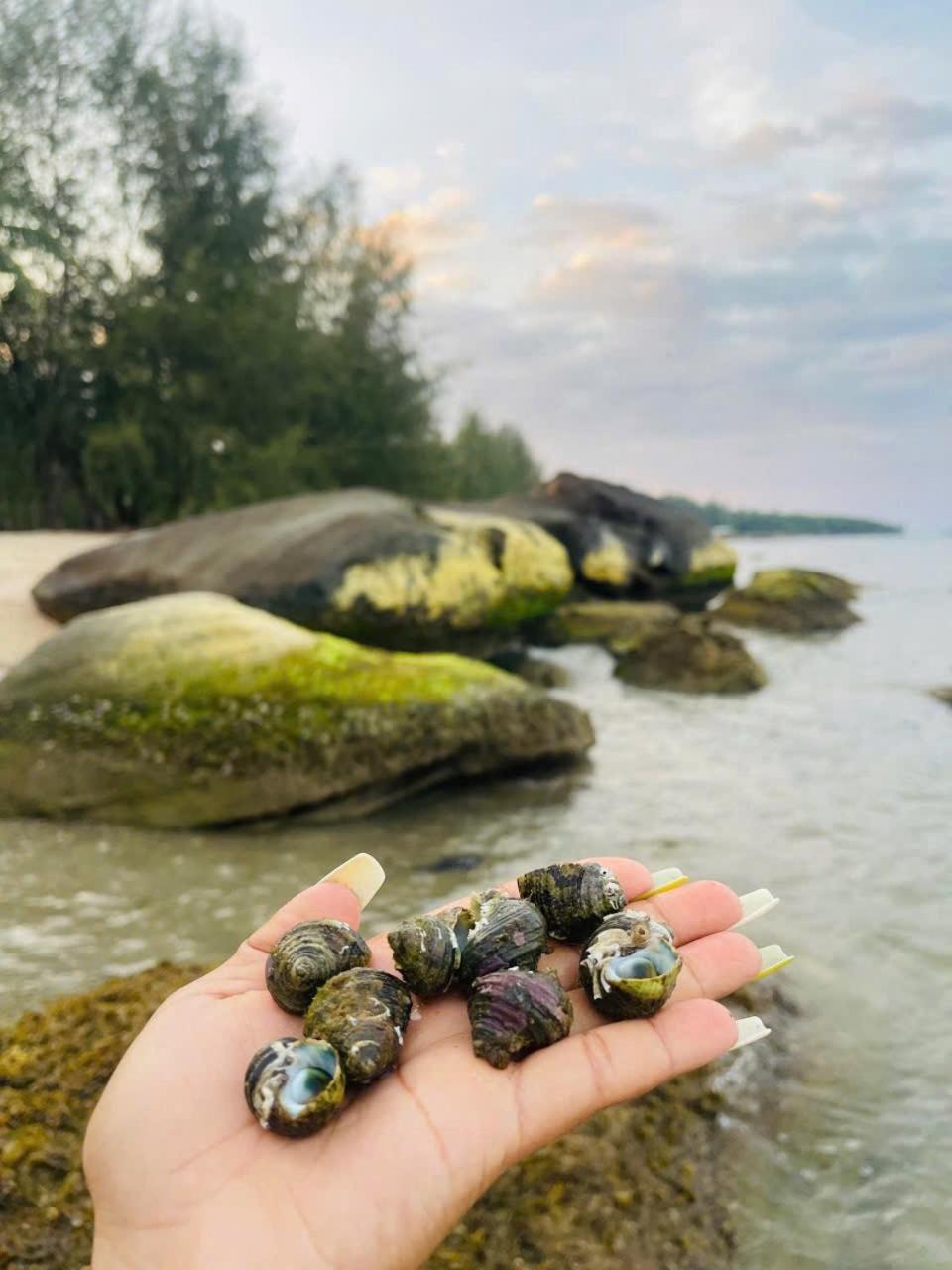 富国 Bai Thom Retreat旅馆 外观 照片